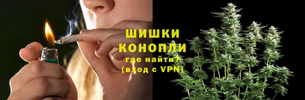 СК Бородино